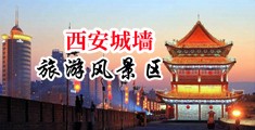 亚洲美女操小逼中国陕西-西安城墙旅游风景区