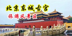 女妇人被摸出好多水动态图中国北京-东城古宫旅游风景区